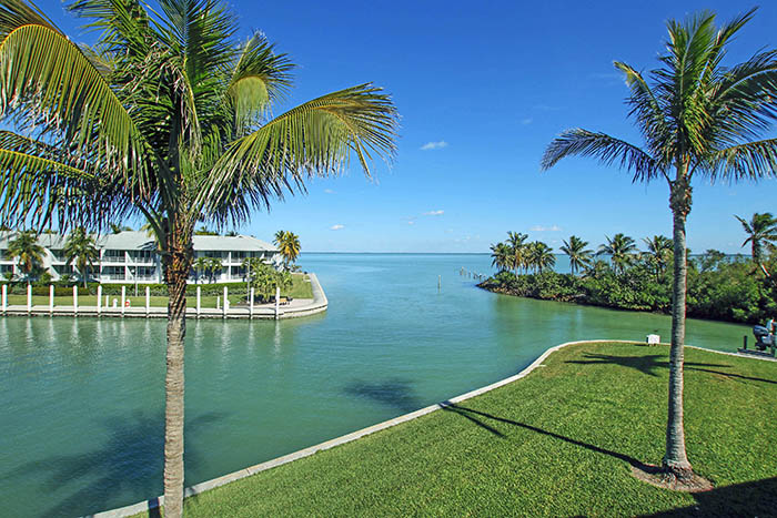 View of water and palm trees for south seas resort